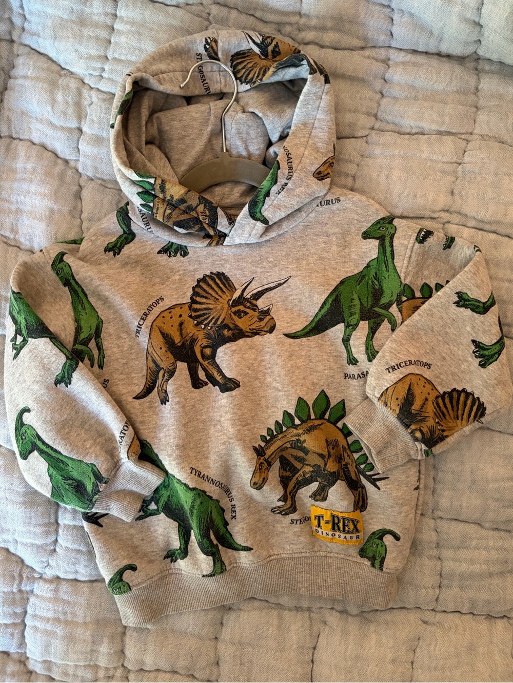 H&M Toddler Boy Gray Dinosaur Hoodie 3/4T